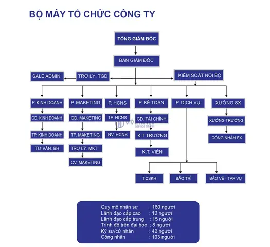 Sơ Đồ Tổ Chức Công Ty Toyota