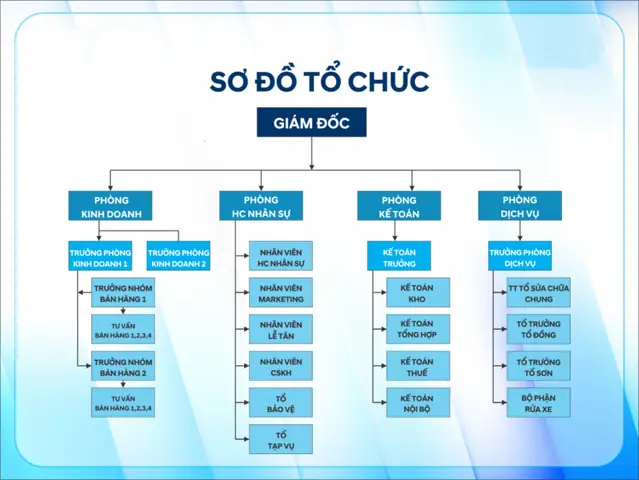 Sơ Đồ Tổ Chức Xưởng Dịch Vụ Toyota