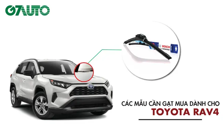 Tim Mua Xe Toyota Rav4 5 Chỗ