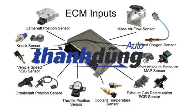 Tire Pressure Warning Ecu Toyota Sienna 2010 Parts Location
