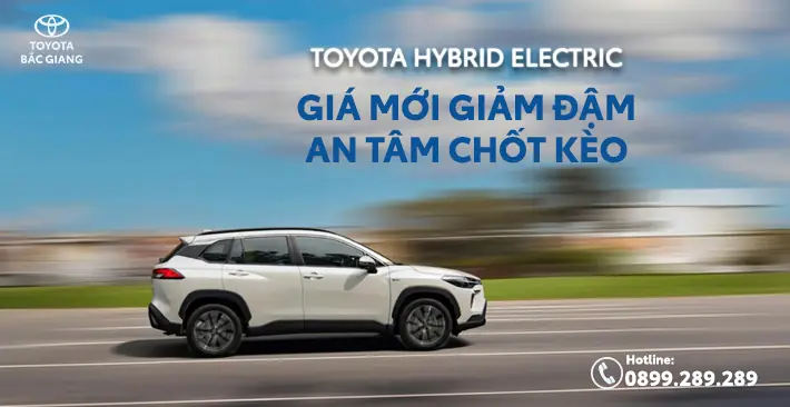 Toyota Binh Duong Tp Moi Ho So Doanh Nghiep